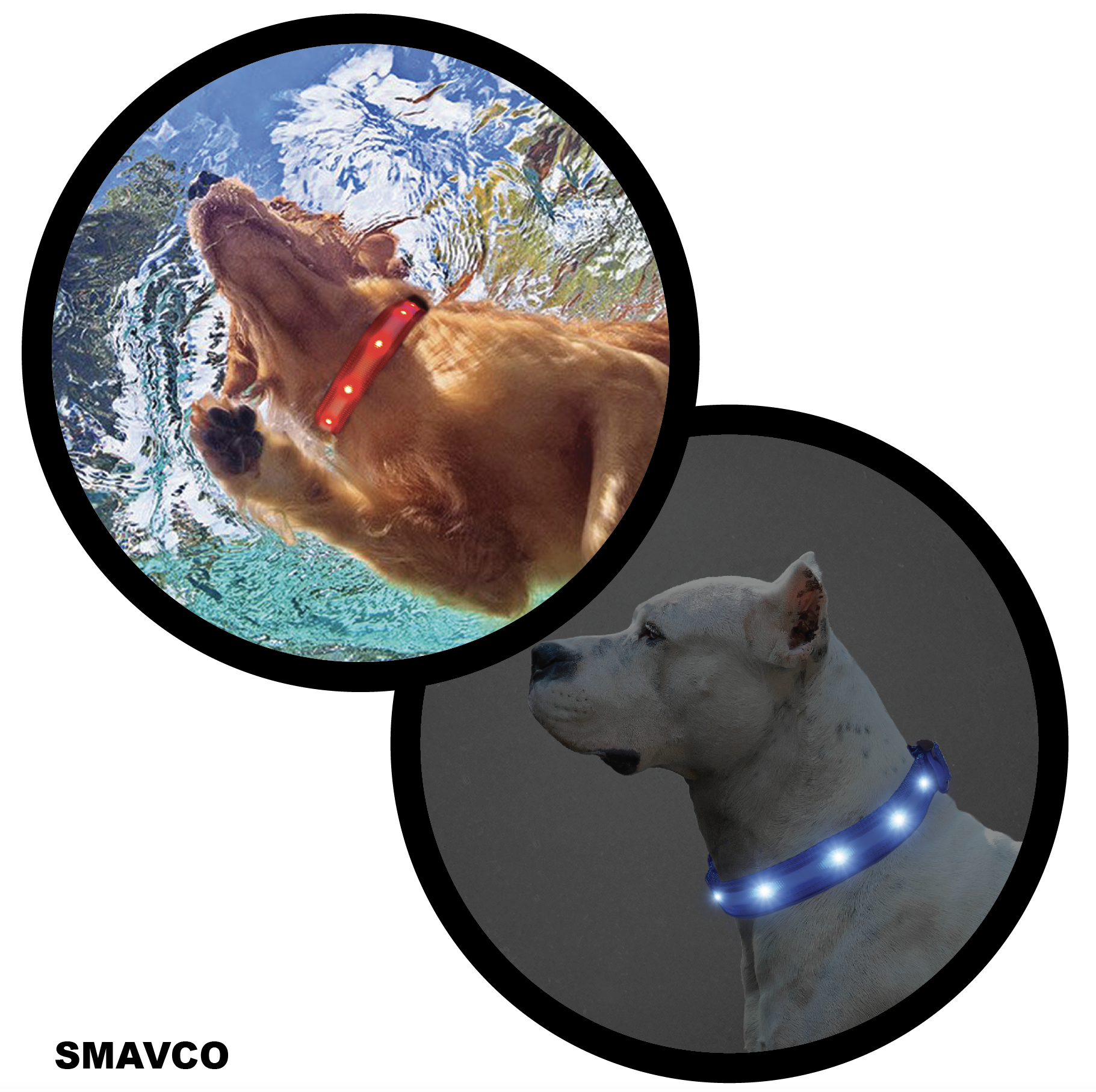 Airtag Holder LED Dog Collar Rechargeable, Waterproof, Adjustable, Soft, Reflective with USB Car & Wall Charger - Blue-SMAVtronics