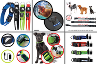 Airtag Holder LED Dog Collar Rechargeable, Waterproof, Adjustable, Soft, Reflective with USB Car & Wall Charger - Pink Red