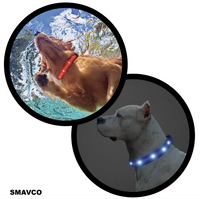 SMAVCO Airtag Holder LED Dog Collar Rechargeable, Waterproof, Adjustable, Soft, Reflective with USB Car & Wall Charger - Blue